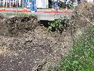 IMG_6065.JPG