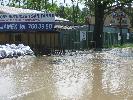 IMG_6036.JPG