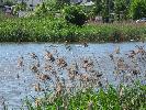 IMG_6060.JPG