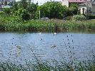IMG_6061.JPG