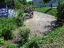 IMG_6051.JPG